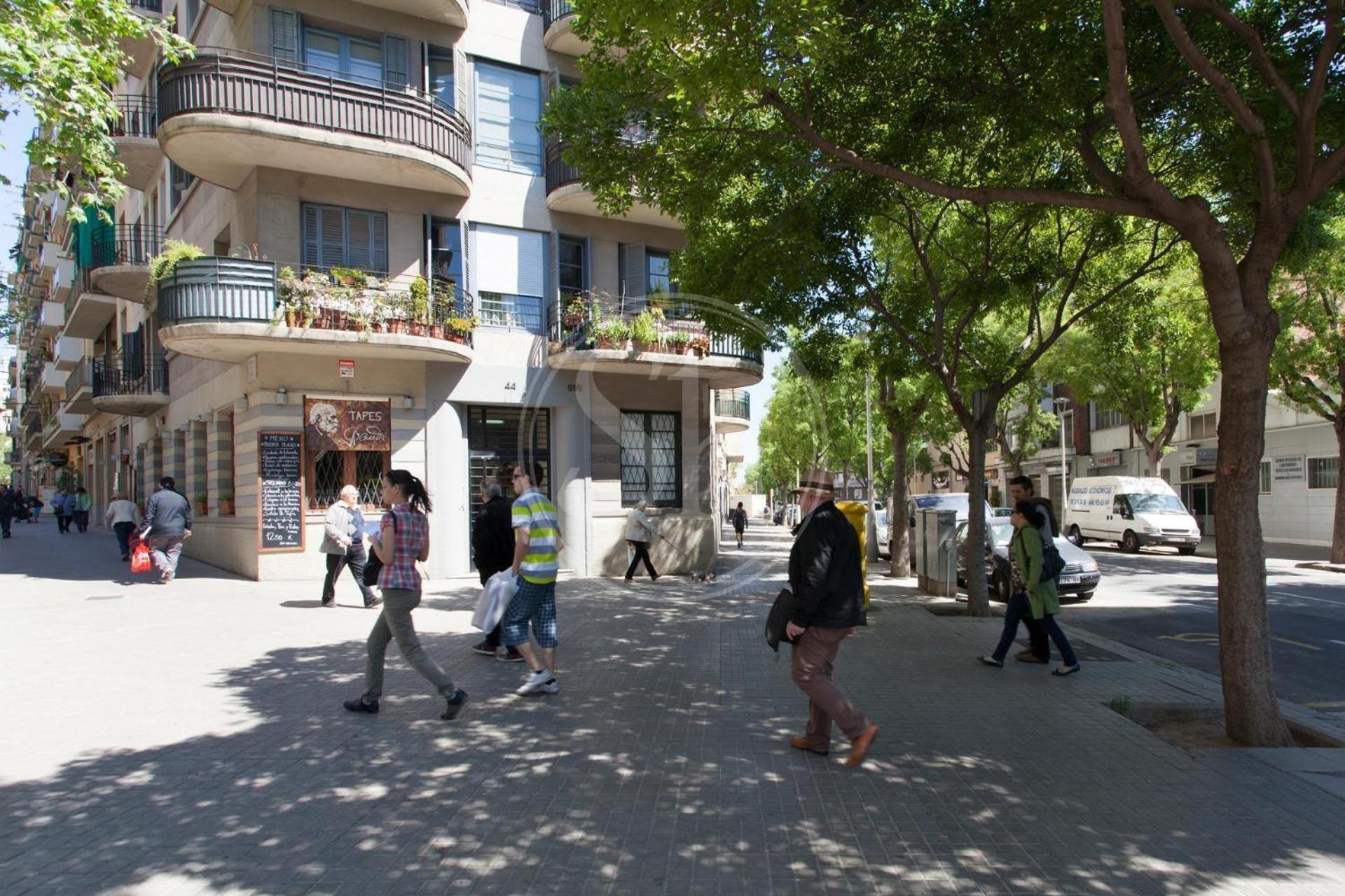 Familiar En Avenida Gaudi Apartamento *